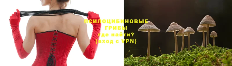 даркнет сайт  Заволжск  Псилоцибиновые грибы Psilocybine cubensis 